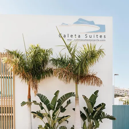 Apartment Caleta Tenerife Costa Adeje (Tenerife)